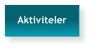 Aktiviteler